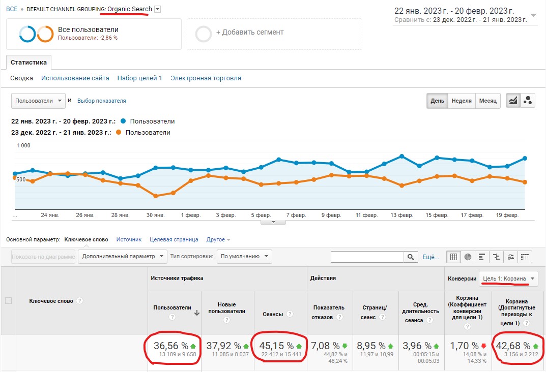seo продвижение магазина
